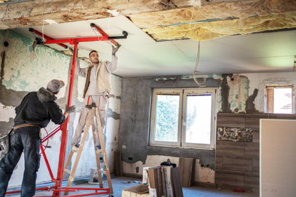 Best Insulation Maintenance and Repair in St Martins, MO