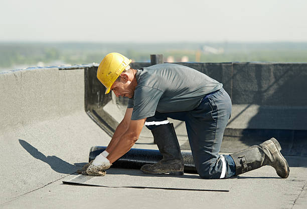 Best Residential Insulation in St Martins, MO